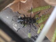 ファイル 1875-1.jpg