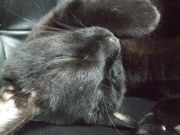 ファイル 1876-1.jpg