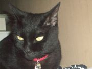 ファイル 1878-2.jpg