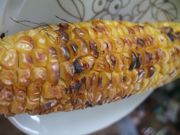 ファイル 1879-2.jpg