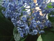 ファイル 1880-2.jpg