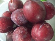 ファイル 1884-1.jpg