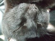 ファイル 1888-2.jpg