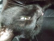 ファイル 1888-3.jpg