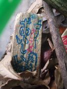 ファイル 1893-1.jpg