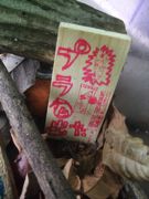 ファイル 1893-2.jpg