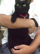 ファイル 1894-1.jpg