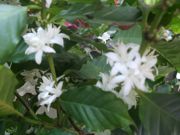 ファイル 1897-1.jpg