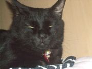 ファイル 1899-2.jpg