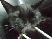 ファイル 1899-3.jpg