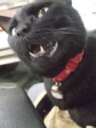 ファイル 1899-4.jpg