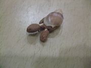 ファイル 1901-2.jpg