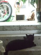 ファイル 1907-1.jpg