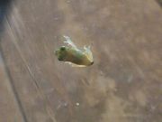 ファイル 1908-1.jpg