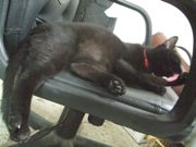 ファイル 1910-3.jpg