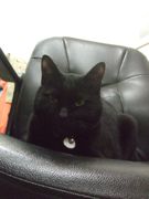 ファイル 1912-1.jpg