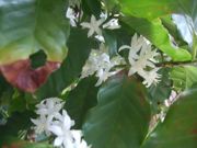 ファイル 1913-1.jpg