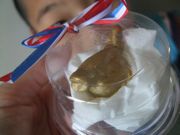 ファイル 1915-1.jpg