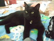 ファイル 1919-1.jpg