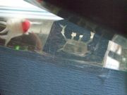 ファイル 1924-3.jpg