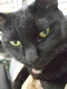 ファイル 1926-1.jpg