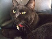 ファイル 1932-1.jpg