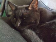 ファイル 1934-1.jpg