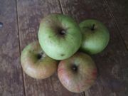 ファイル 1940-1.jpg