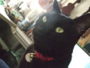 ファイル 1945-1.jpg