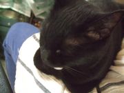 ファイル 1947-1.jpg