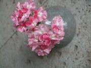 ファイル 1948-1.jpg