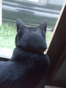 ファイル 1951-2.jpg