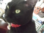 ファイル 1951-3.jpg