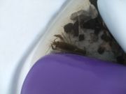 ファイル 1954-1.jpg