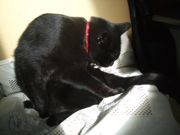 ファイル 1956-1.jpg