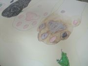 ファイル 1959-1.jpg