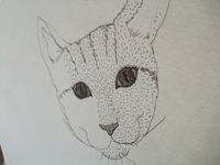 ファイル 1960-1.jpg