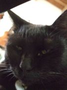 ファイル 1963-1.jpg