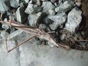 ファイル 1964-1.jpg