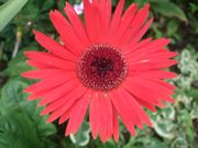 ファイル 1966-1.jpg