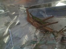 ファイル 1967-1.jpg