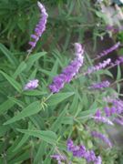 ファイル 1970-1.jpg