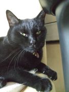 ファイル 1973-1.jpg