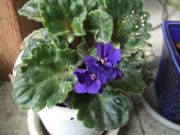 ファイル 1974-1.jpg