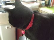 ファイル 1981-2.jpg