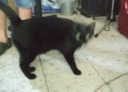 ファイル 1981-4.jpg