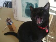 ファイル 1988-1.jpg