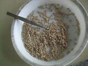 ファイル 1989-1.jpg