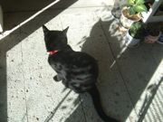 ファイル 1995-1.jpg