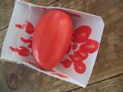 ファイル 1996-2.jpg